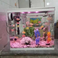 آکواریوم درب دار شرکتی