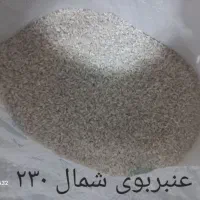 برنج ایرانی خالص هاشمی|خوردنی و آشامیدنی|تاکستان, |دیوار