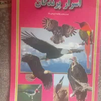 کتاب اسرار پرندگان به قیمت میدم