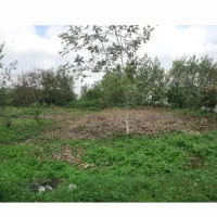 فروش-زمین-با-کاربری-مسکونی