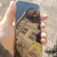 ۱۶پرو ۲۵۶صحرایی ریجستر