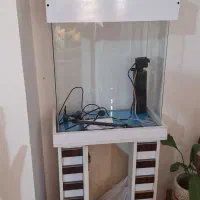 آکواریوم شرکتی شیشه خم|ماهی|ماهدشت, |دیوار