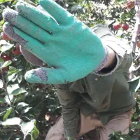 به عنوان کارگر در خدمتیم