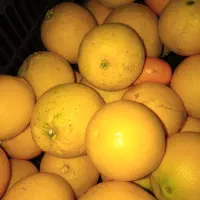 پرتغال تازه نامتلو