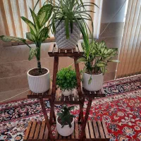 تولیدی استند گلدان|گل و گیاه طبیعی|تفت, |دیوار