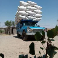 گاه گندم دیم|عمده‌فروشی|چهارباغ, |دیوار