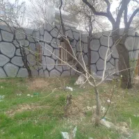 باغ ۱۴۰۰ متر درخت بادام درخت انگور معاوضه باخانه