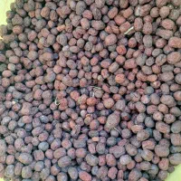 عناب دارویی