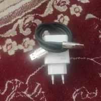 شارژر اصلی شیاعومی