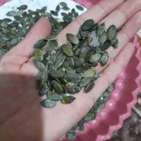 تخم کدو طبی|خوردنی و آشامیدنی|هشترود, |دیوار