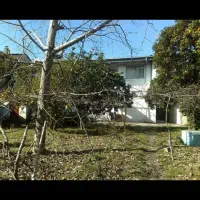 اجاره / زمین / تجاری / بر کمربندی نوشهر