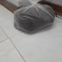 لوبیا قرمز ۵۵ کیلو ۲۰۰