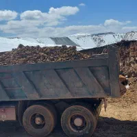 نیازمند راننده پایه یک هستم