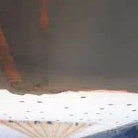 استادکار‌ماله‌کشی.هستم