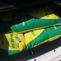 بذرآفتابگردان اصل اصل|خدمات باغبانی و درختکاری|ارومیه, |دیوار