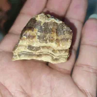 سنگ قیمتی|کلکسیون اشیاء عتیقه|کرمانشاه, |دیوار