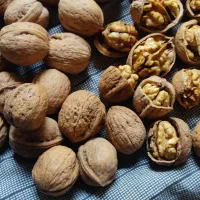 گردو اورگانیک