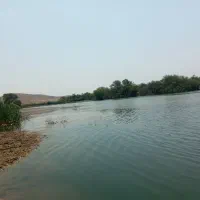 راهنمایی برای رهایی از بیکاری