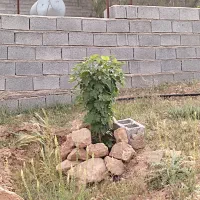 باغ-شهری-خالدآباد