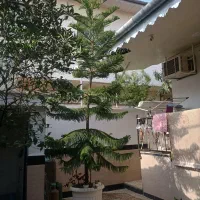گل مطبق