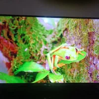 ۵۰ اینج شهاب هوشمند اتصال به موبایل