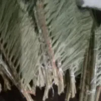 جارو‌فروشی