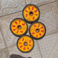 هالتر،صندلی،وزنه،دمبل
