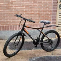 دوچرخه ۲۴ ویوا دنده ای