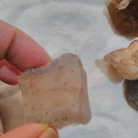 سنگ قیمتی فروشی|کلکسیون اشیاء عتیقه|بشاریات, |دیوار