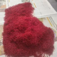 زعفران خشک سرقلم فروشی دارم