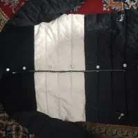 کاپشن سبز و سیاوش و کرمی|لباس|شیراز, گلشن|دیوار