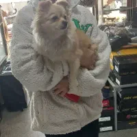 پاکوتاه ۱/۵ساله