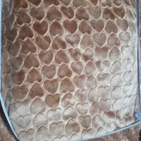 پتو یک نفره
