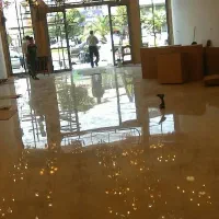 کفسابی و سابزنی در کُل تهران با قیمت مناسب|خدمات نظافت|تهران, نیروی هوایی (پیروزی)|دیوار