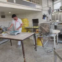 شاطر تافتون سنتی