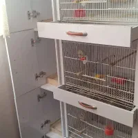 قفس پرنده.بسیار شیک و تمیز
