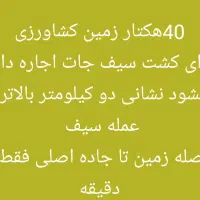 40هکتار-زمین-کشاورزی-اجاره-داده-میشود