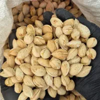 خرید انواع بادام