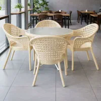 صندلی پلاستیکی میز ناهارخوری