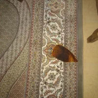 فرش