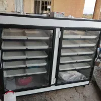 دستگاه جوجه کشی