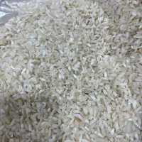 برنج کامفیروزی|عمده‌فروشی|شیراز, دروازه اصفهان|دیوار