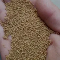 بذر یونجه درجه یک و تمیز