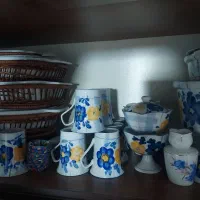 سرویس ظروف گلپنبه ای|ظروف سرو و پذیرایی|پاکدشت, پاکدشت (مامازند)|دیوار
