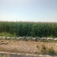 فروش-14-هزارمتر-زمین-کشاورزی-پشت-جاته