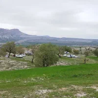 پیکان مدل83تک برگ سند120تا کارکرد واقعی