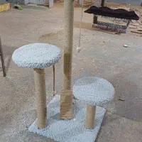 اسکچر گربه|لوازم جانبی حیوانات|مشهد, حسابی جنوبی (شهرک غرب)|دیوار