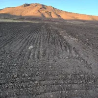 کوداوره شیمایی(سفید)