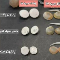 سنگهای قیمتی و عتیقه