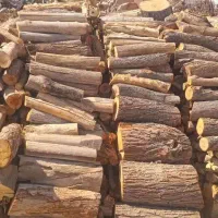 فروش انواع چوب و زغال